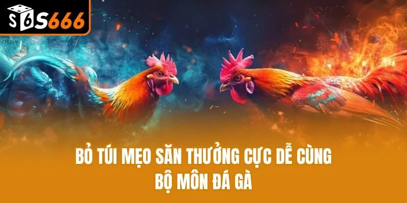 Bỏ túi mẹo săn thưởng cực dễ cùng bộ môn đá gà