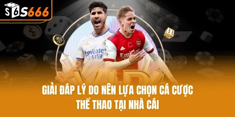 Giải đáp lý do nên lựa chọn cá cược thể thao tại nhà cái